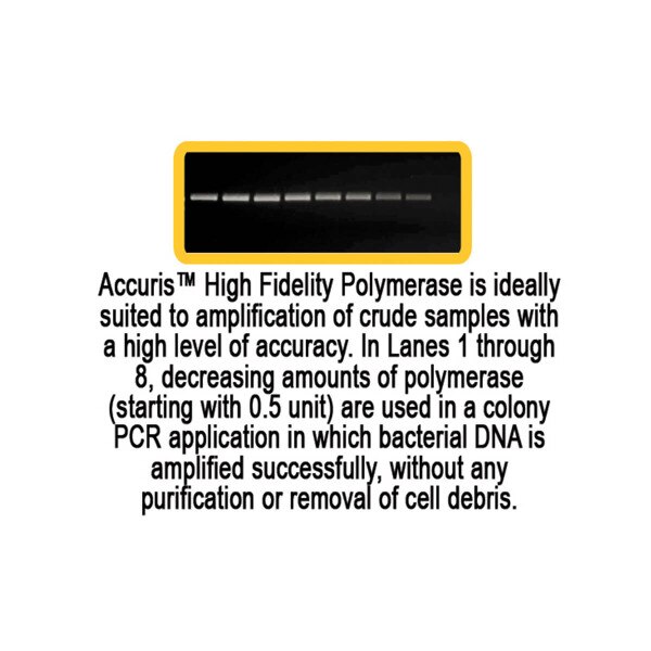 High Fidelity DNA Polymerase, graph